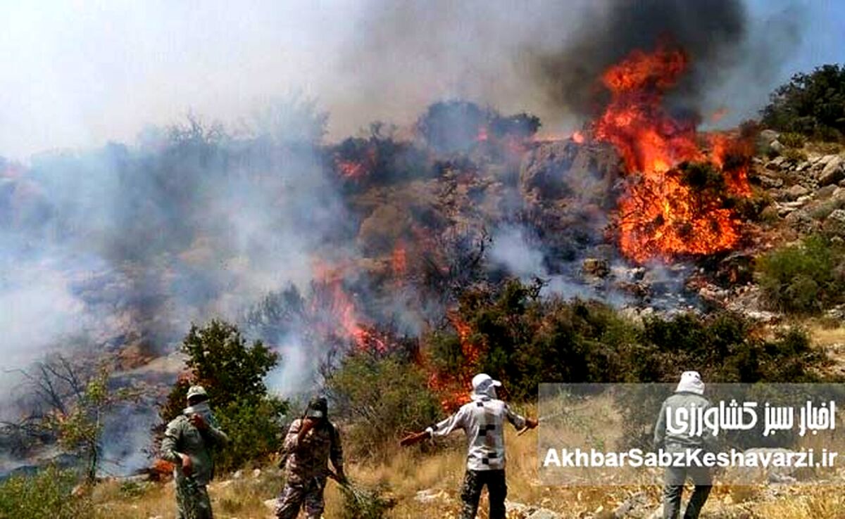 جنگل‌های هیرکانی در آتش بی‌تدبیری و عدم مسئولیت‌پذیری
