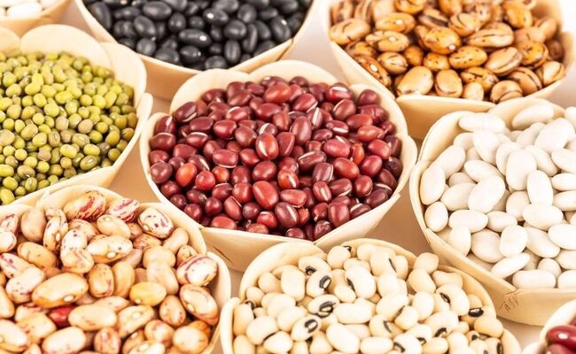 رکوردشکنی تولید حبوبات در کشور و کاهش قیمت لوبیا