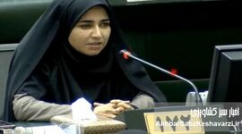 نطق آتشین فلاحی: مسئولان بی‌کفایت، قاتل جوانان ملکشاهی + ویدئو