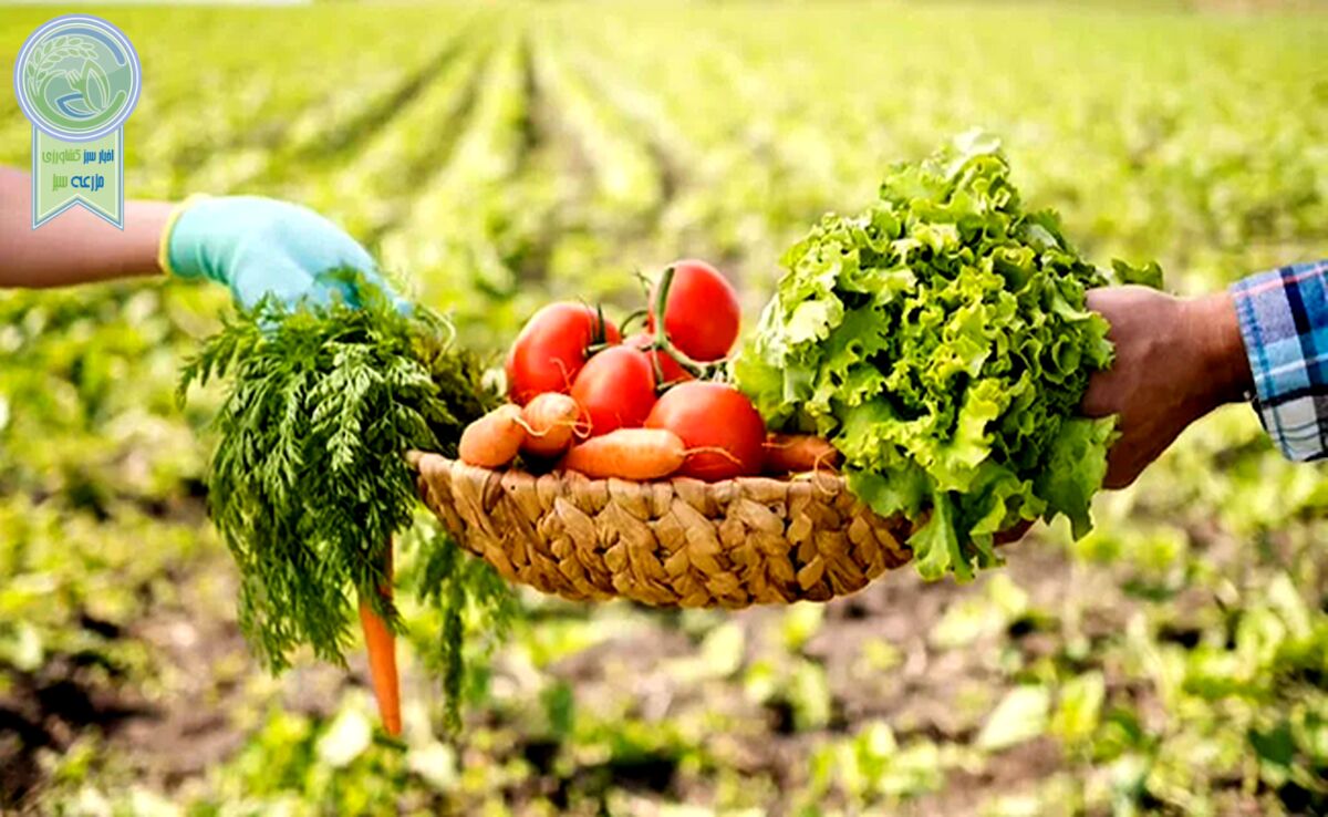 کشاورزی ارگانیک، سرنوشت روستاهای فقیر را تغییر می‌دهد