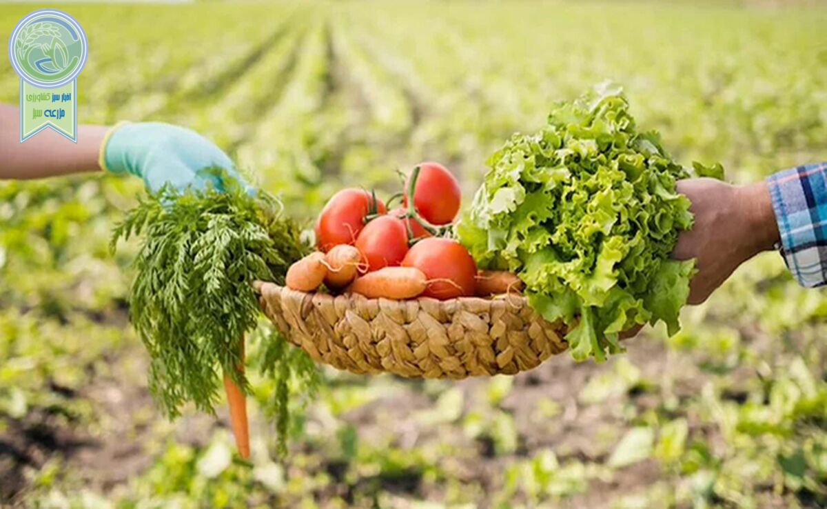 کشاورزی ارگانیک، سرنوشت روستاهای فقیر را تغییر می‌دهد