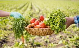 کشاورزی ارگانیک، سرنوشت روستاهای فقیر را تغییر می‌دهد