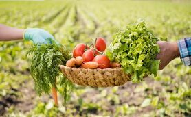 کشاورزی ارگانیک، سرنوشت روستاهای فقیر را تغییر می‌دهد