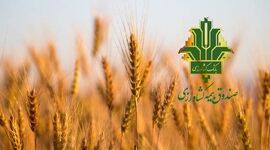 ایران پیشرو در به کارگیری فناوری‌های نوین بیمه کشاورزی 