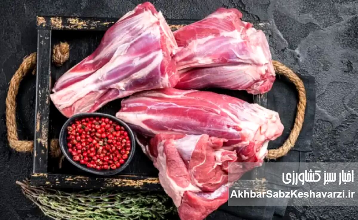 گوشت گران، دام ارزان؛ معمایی به نام توزیع که سفره‌ها را کوچک کرد