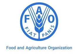 هشدار FAO درباره آینده خوراک دام؛ وقتی غذای انسان و دام بر سر منابع رقابت می‌کنند