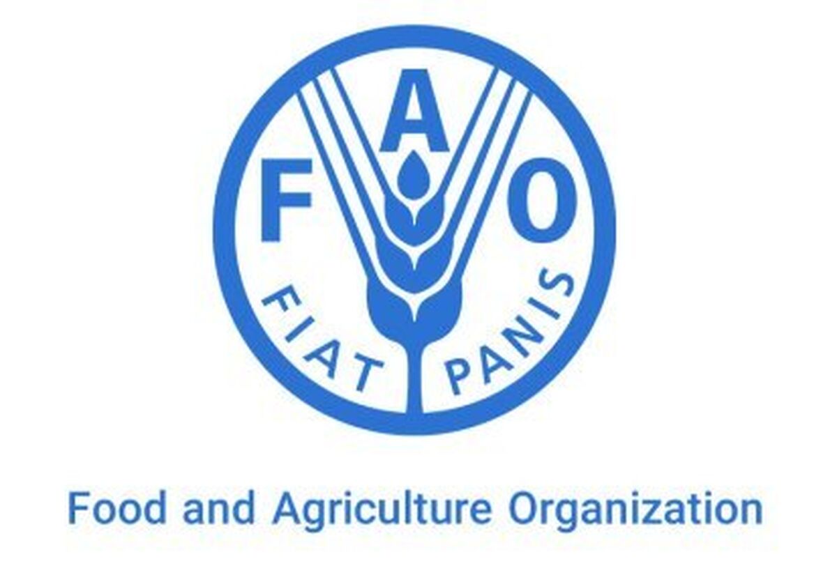 هشدار FAO درباره آینده خوراک دام؛ وقتی غذای انسان و دام بر سر منابع رقابت می‌کنند