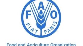 هشدار FAO درباره آینده خوراک دام؛ وقتی غذای انسان و دام بر سر منابع رقابت می‌کنند