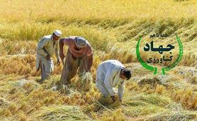 جهاد کشاورزی در آستانه انتخابات


