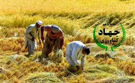 جهاد کشاورزی در آستانه انتخابات


