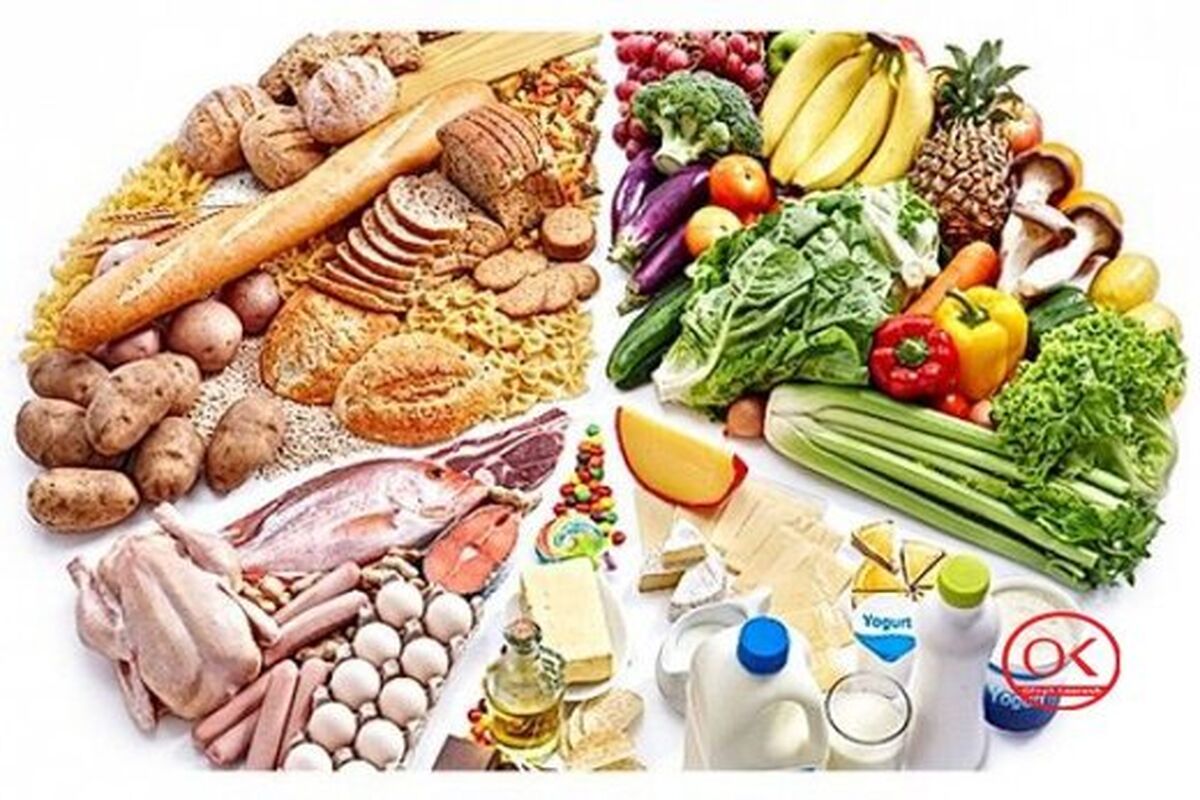 اصول نگهداری و فرآوری مواد غذایی؛ راهکارهای افزایش ماندگاری و کیفیت