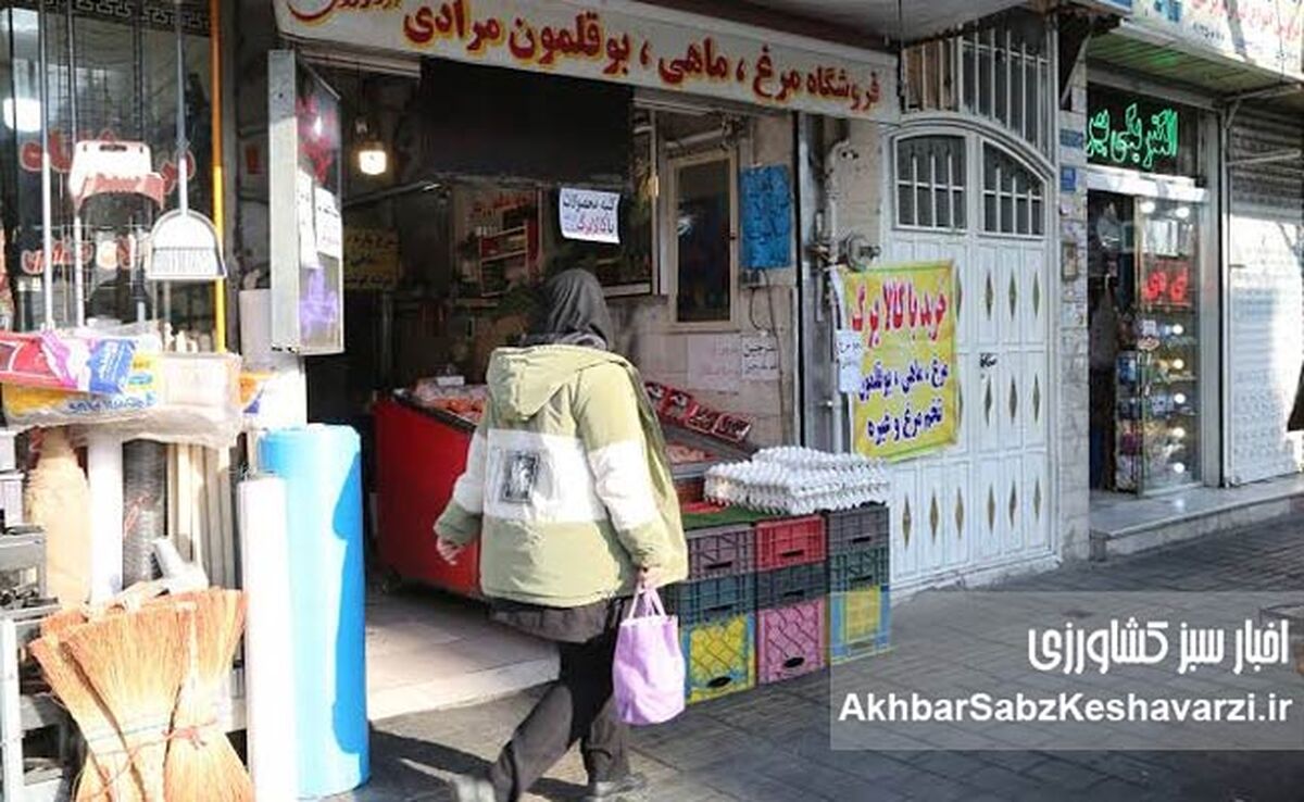 افزایش ۲۳ درصدی اعتبار کالابرگ؛ خبر خوش رئیس بانک مرکزی
