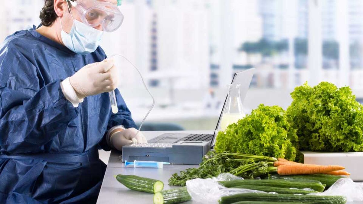 نقش HACCP در ارتقای ایمنی غذایی و کاهش خطرات تولید