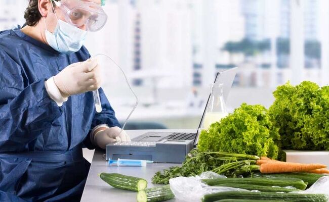 نقش HACCP در ارتقای ایمنی غذایی و کاهش خطرات تولید