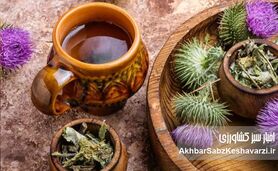 گیاهان مهم دارویی و کاربرد آنها