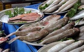 برای خرید ماهی شمال این نکات بهداشتی را رعایت کنید

