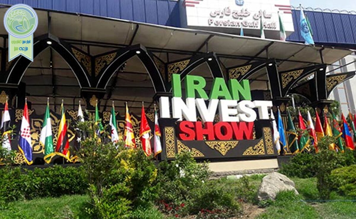 آغاز به کار هفتمین دوره نمایشگاه ایران اکسپو؛ بزرگترین ویترین صادراتی ایران به روی جهان گشوده شد+ عکس