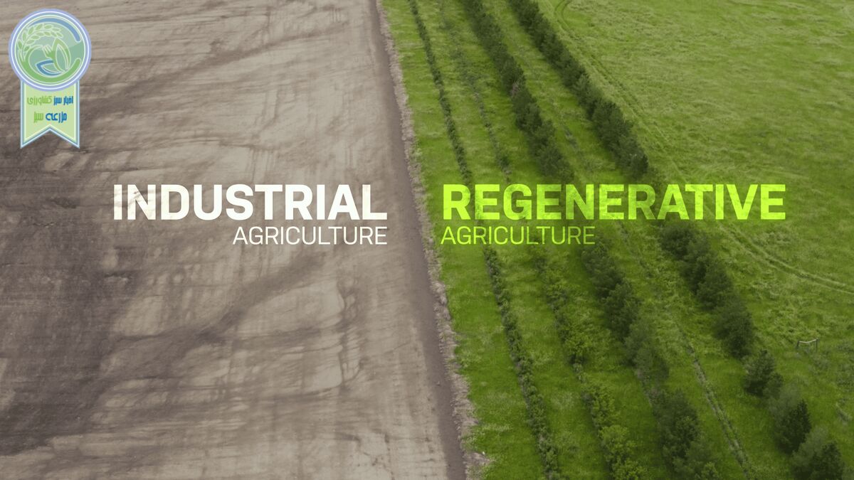 کشاورزی احیا کننده چیست؟