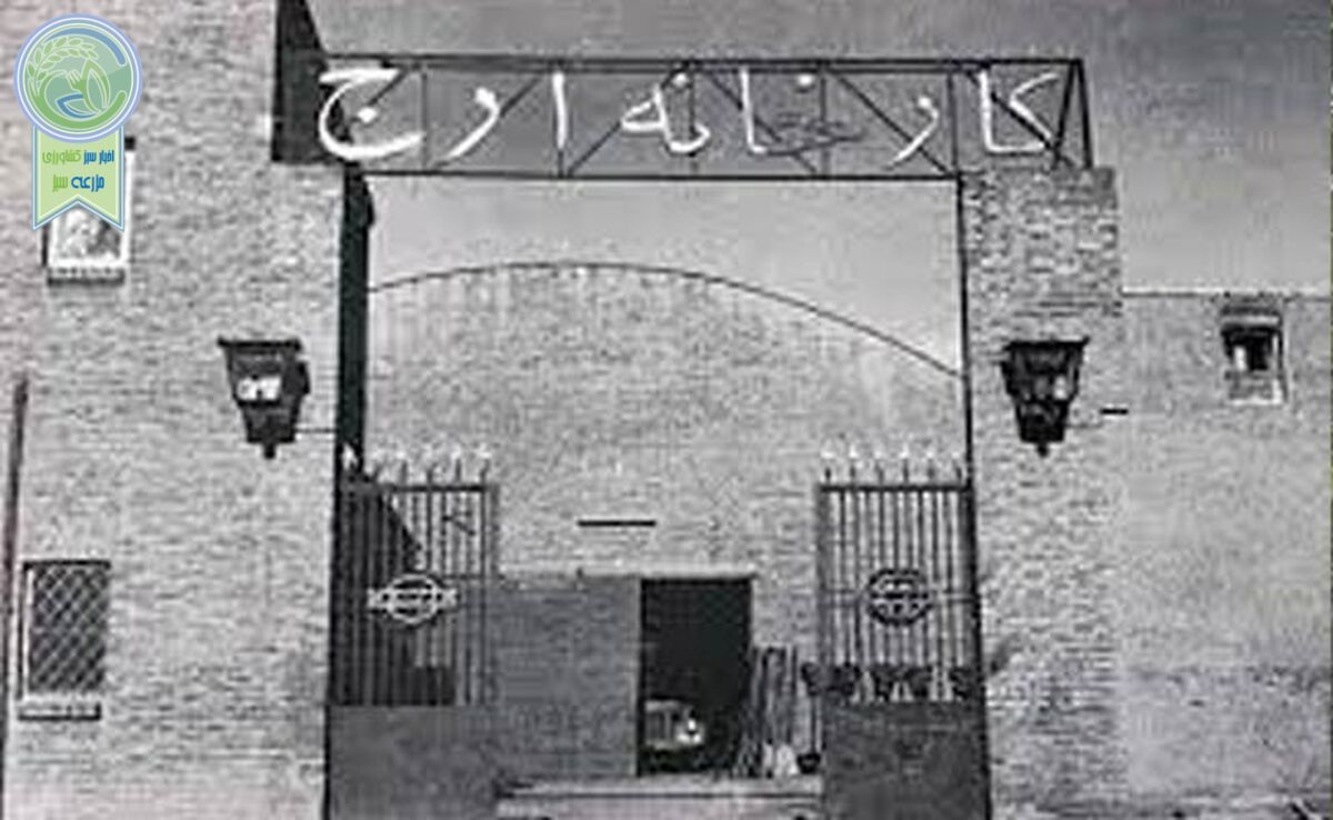 ارج «بدون ارج»+ فیلم

