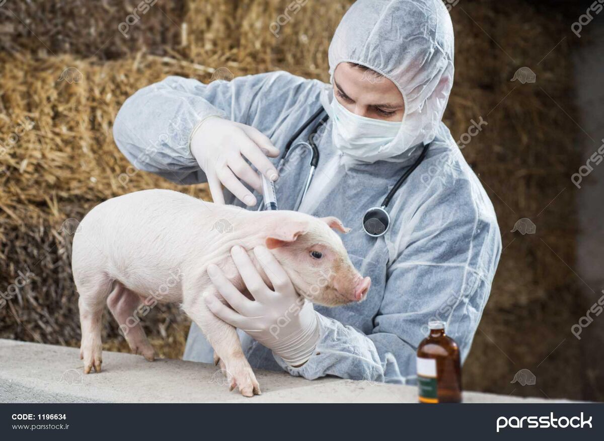 مذاکره ایران و جمهوری آذربایجان برای توسعه تجارت محصولات دامپزشکی