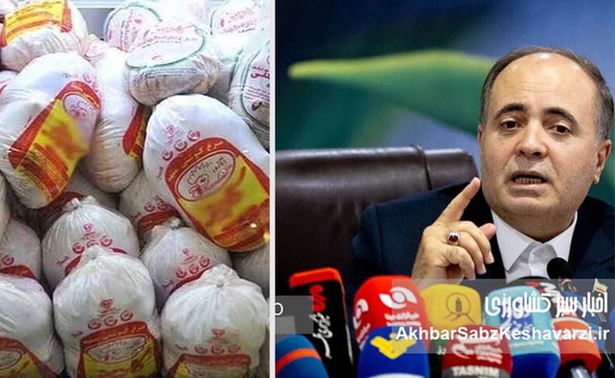 ادعای نوری قزلجه درباره «خودکفایی مرغ»؛ دستاوردی واقعی یا بازی با واژه‌ها و آمار؟
