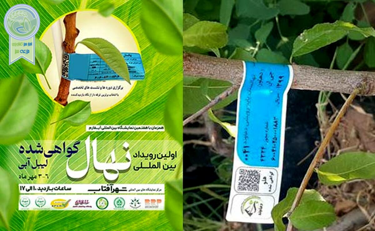 نمودی دیگر از بلوغ و شکوفایی آیفارم

