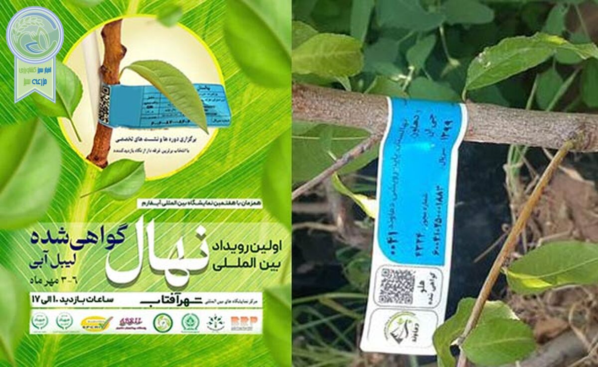 نمودی دیگر از بلوغ و شکوفایی آیفارم

