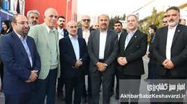 عبدالعلی‌زاده: جهش شیلات در گرو گسترش حمایت از بخش خصوصی و رفع تنگ‌نظری‌های دولتی