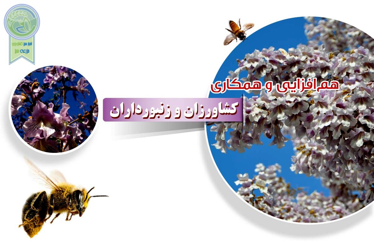 هم‌افزایی و همکاری کشاورزان و زنبورداران

