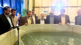 مرکز شهید باهنر کلاردشت، سایت پشتیبان تولید بچه‌ماهی آزاد و توسعه آبزی‌پروری قفس در خزر