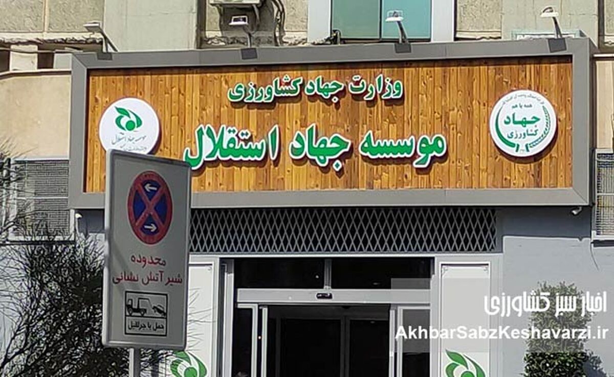 آیا قوه قضاییه در جریان تأخیر در اجرای حکم قطعی و عدم اعمال آثار قانونی آن، از جمله انفصال از خدمات دولتی، قرار دارد؟