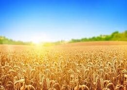 برنامه ملی کانادا برای حل مشکلات کشاورزی