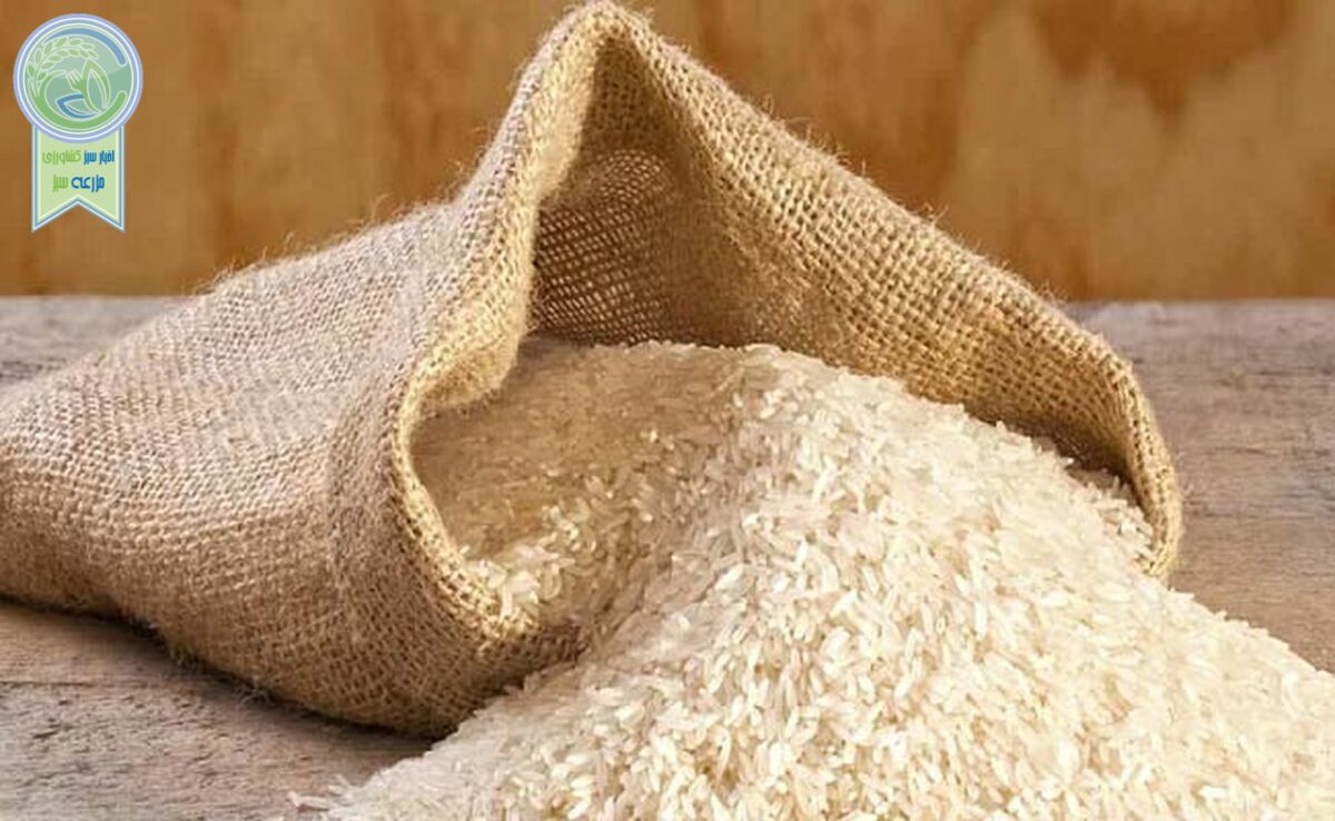 قیمت هر کیلو برنج در میادین میوه و تره‌بار چند؟

