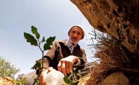 احیای 2000 هکتار جنگل توسط مردی 80 ساله در ایران+ ویدئو

