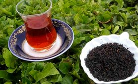چای را چه زمانی مصرف کنیم؟+ ویدئو