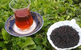 چای را چه زمانی مصرف کنیم؟+ ویدئو