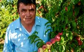 نابغه ایرانی در کشور بیگانه+ ویدئو


