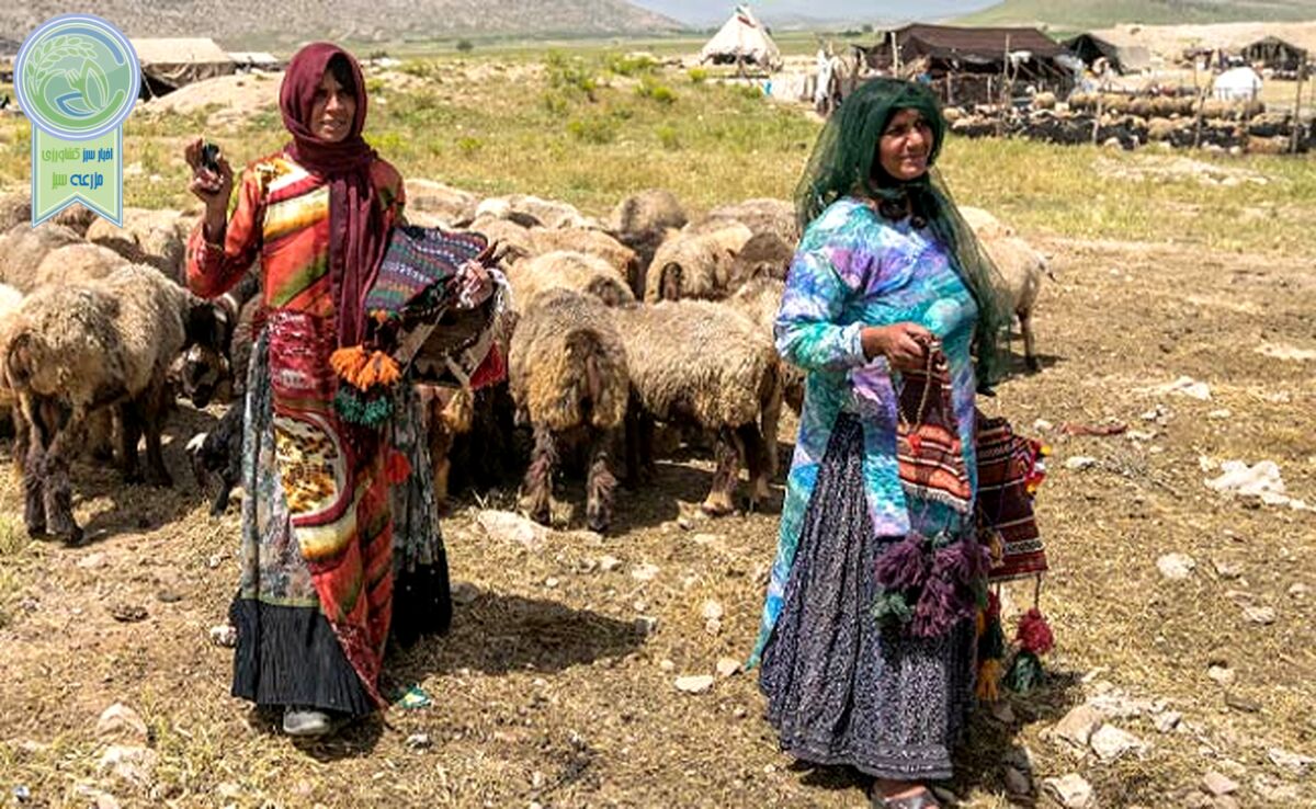 روستاییان و عشایر نگین اقتصاد کشور

