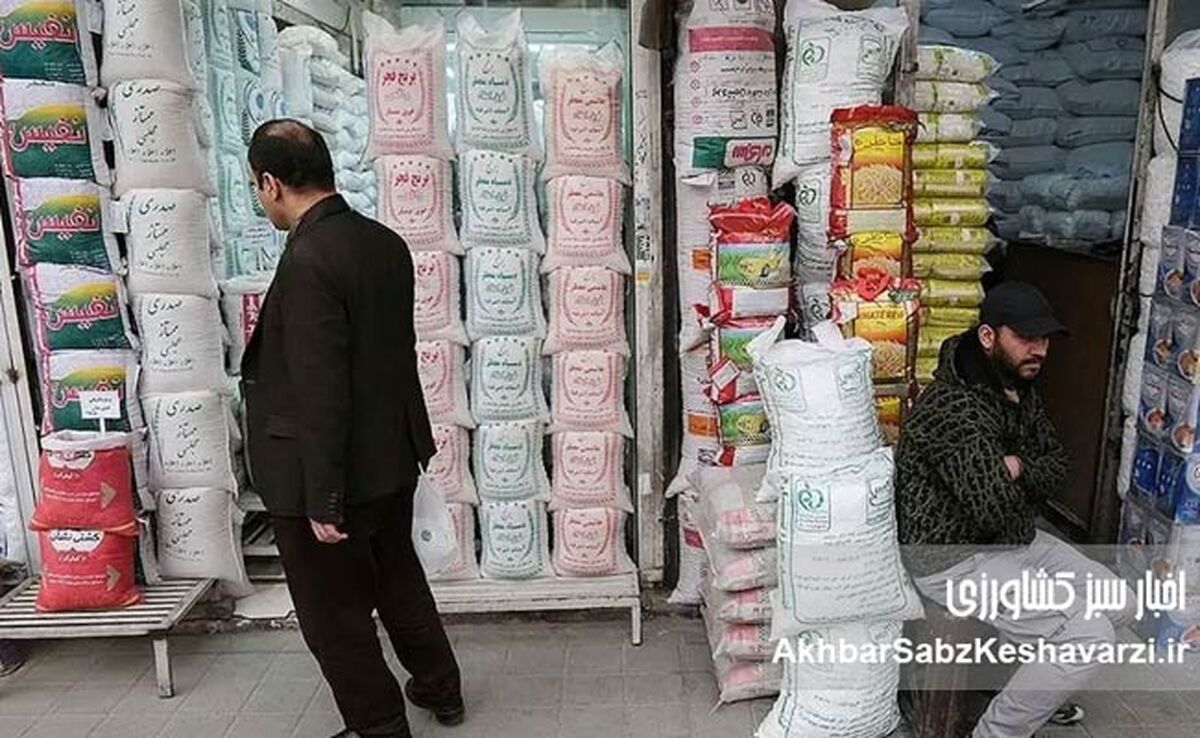 اعزام تیم‌های نظارتی کشاورزی به ۵ منطقه؛ آغاز پایش ملی تولید