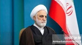 اژه‌ای: ناکارآمدی در واردات نهاده‌های دامی نباید به تضییع حقوق مردم منجر شود