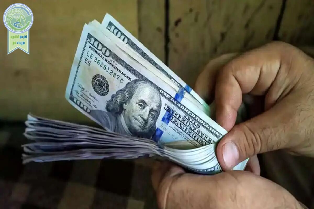 قیمت دلار و یورو امروز پنجشنبه ۳۰ فروردین ۱۴۰۳+ جدول


