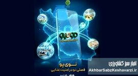 «نوی پو» از ۴۹ همت عبور کرد؛ جهش حمایت مالی از دام و طیور