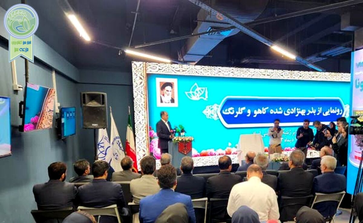 تولید ۹۸ درصد بذر مصرفی ایران در داخل

