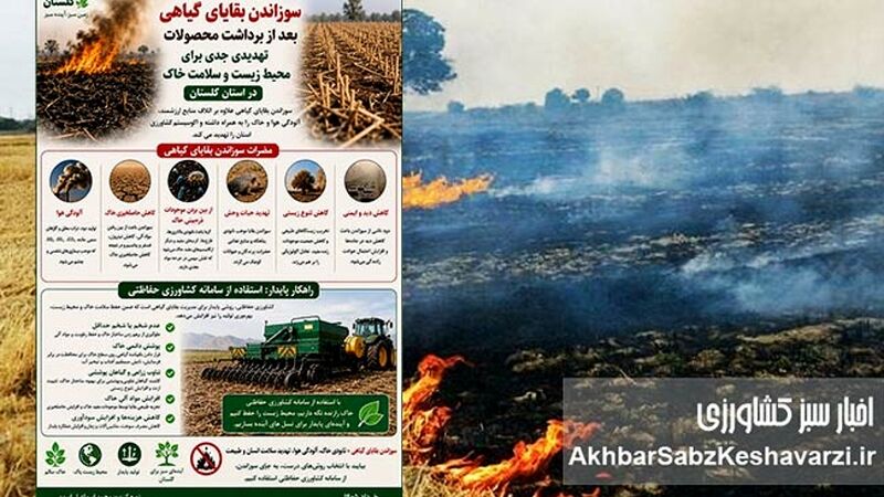 سوزاندن بقایای گیاهی؛ تهدید پنهان برای خاک، هوا و سلامت+اینفوگرافی 