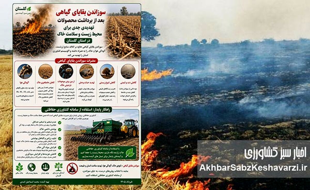 سوزاندن بقایای گیاهی؛ تهدید پنهان برای خاک، هوا و سلامت+اینفوگرافی 