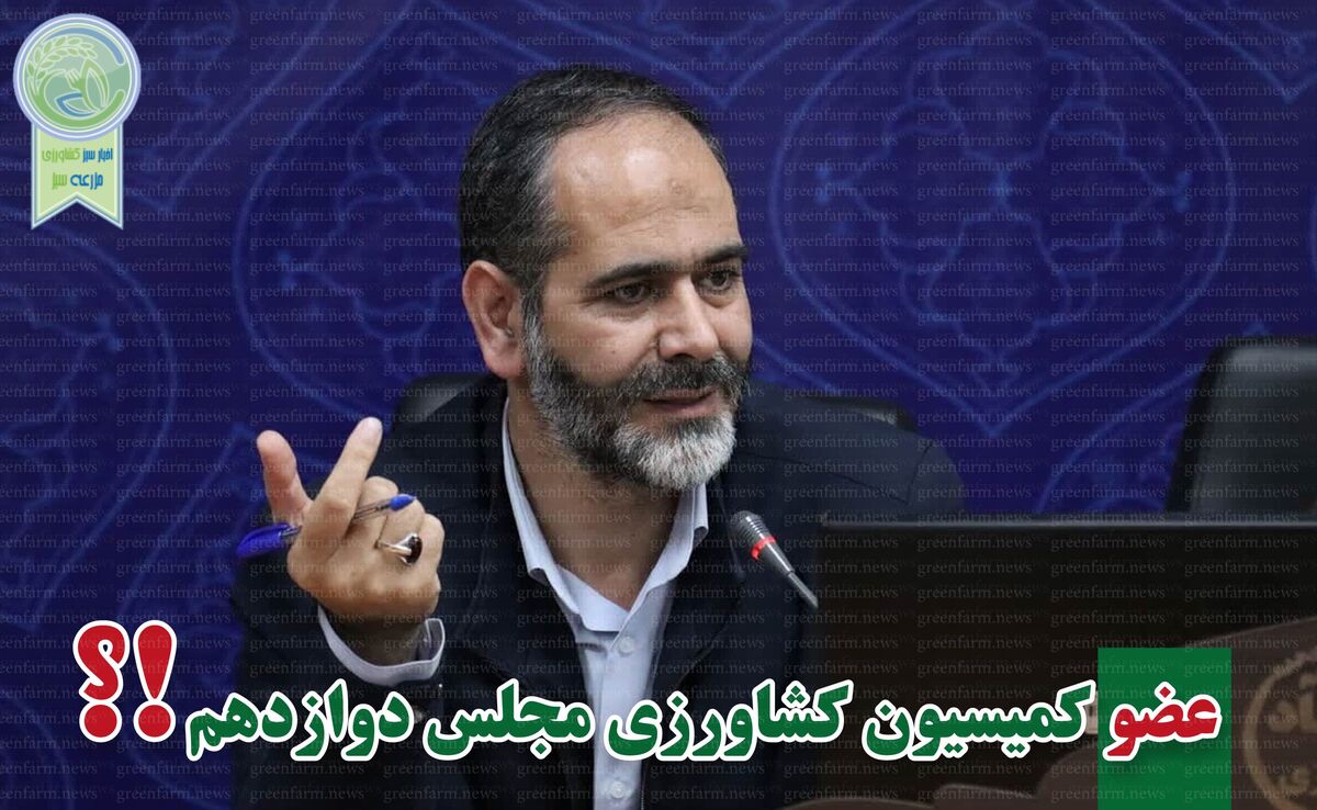 علیرضا عباسی با ۱۰۸ هزار رای راهی مجلس شد

