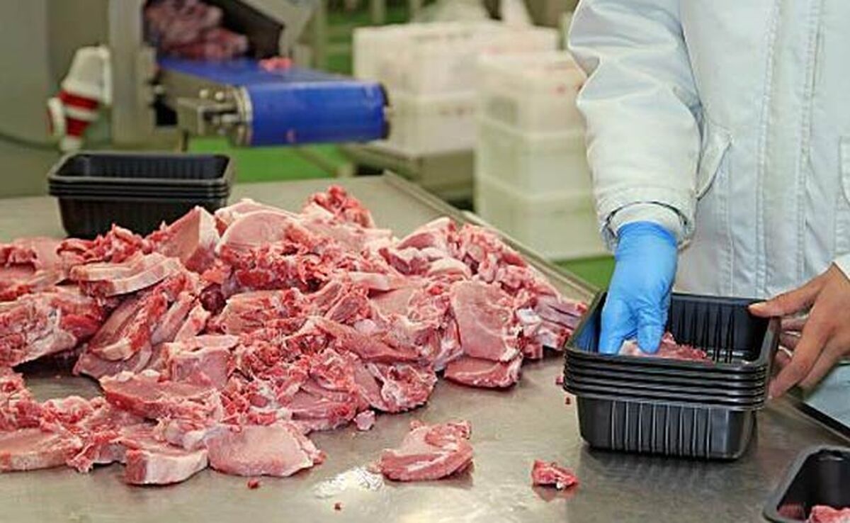 فروشگاه‌های اینترنتی امکانات توزیع بهداشتی گوشت را ندارند

