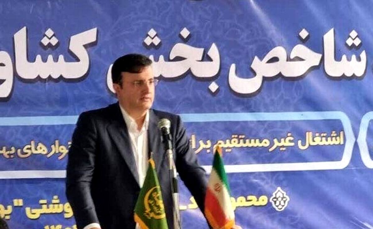 پایداری بازار مرغ تا چندماه آینده

