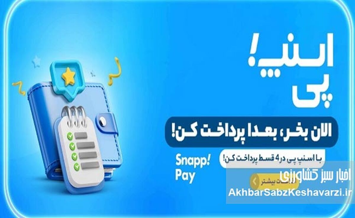 حذف ناگهانی «اسنپ‌پی» کاربران را شوکه کرد؛ پایان خرید اعتباری؟