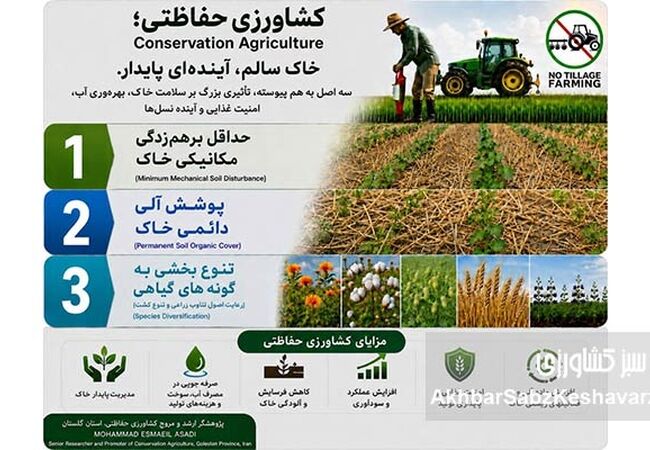 قدردانی از کشاورزان؛ قهرمانانی که جهان را سیر نگه می‌دارند+پادکست